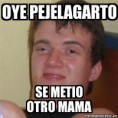 /album/imagenes/pejelagarto-jpg/